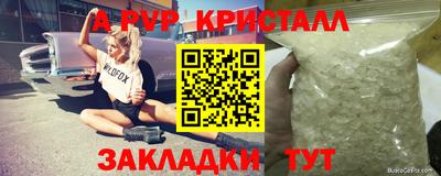 индика Будённовск