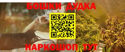 индика Будённовск