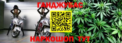 индика Будённовск