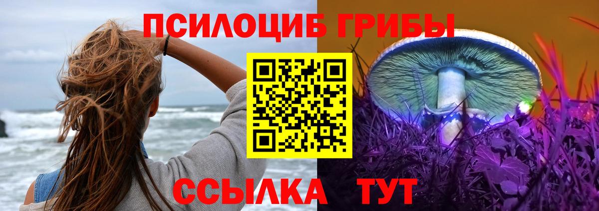 Псилоцибиновые грибы мицелий  Вход с VPN  Протвино 